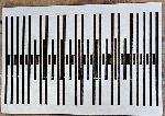 Heddle Looms