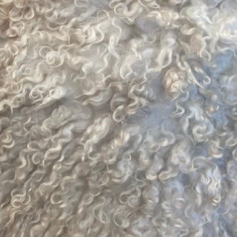 Teeswater Fleece Skins