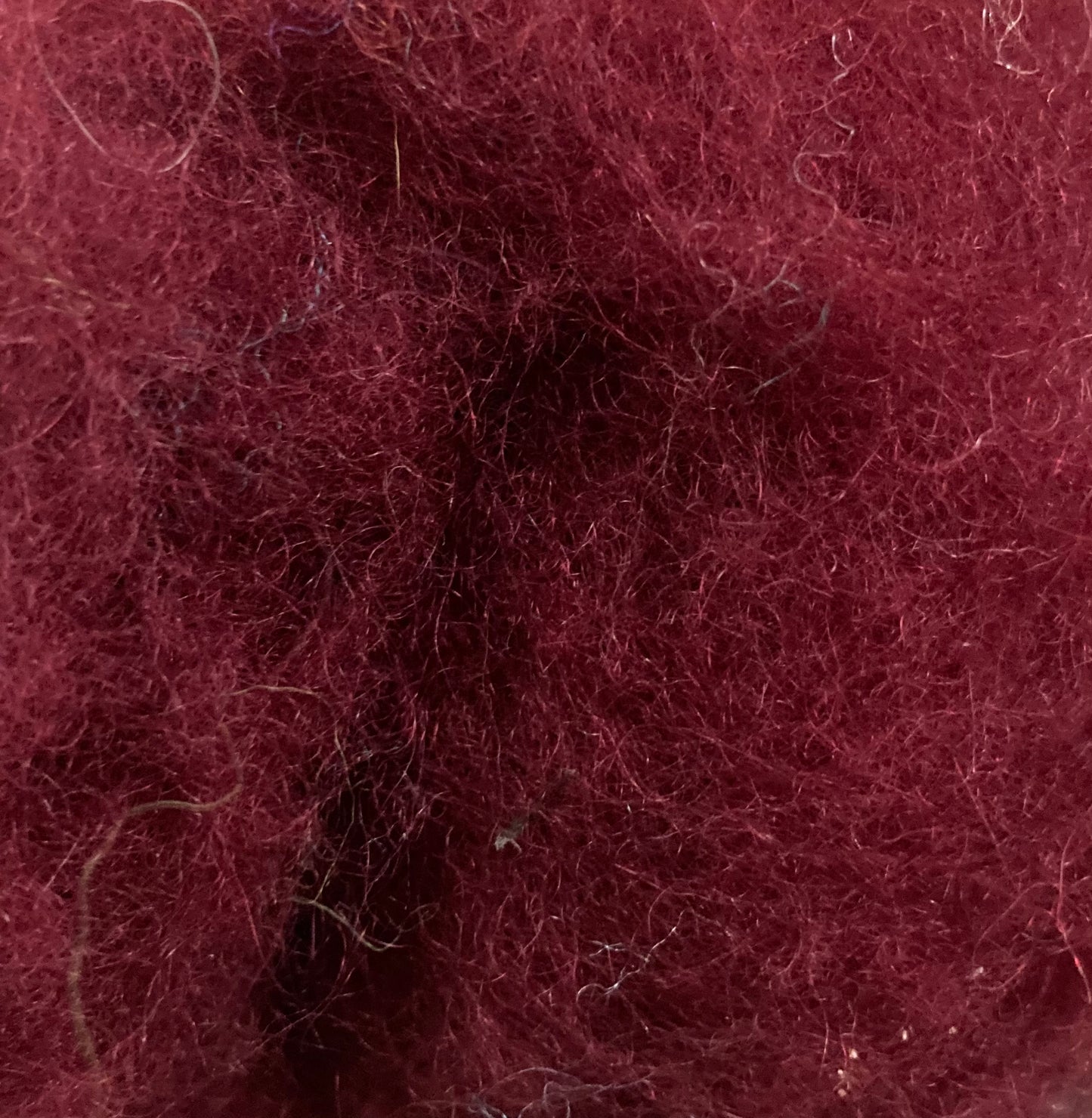 Bergschaf Carded Wool