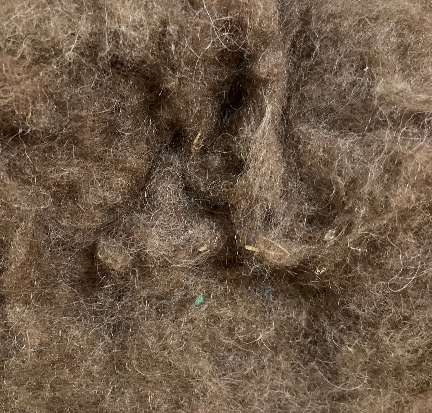 Bergschaf Carded Wool