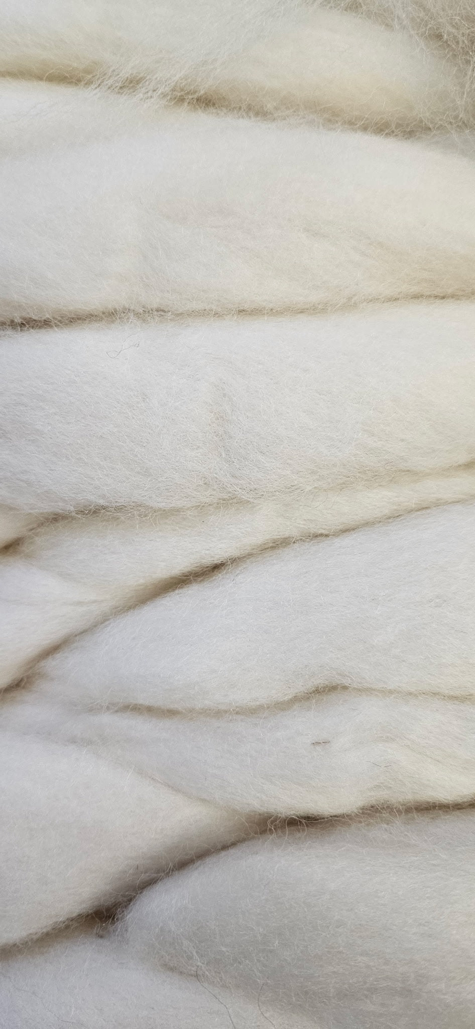 Corriedale Wool Fiber - Sold by the ounce