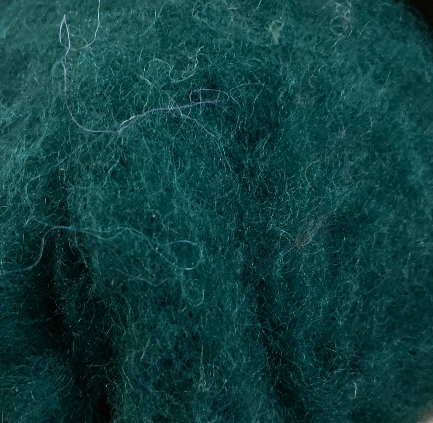 Bergschaf Carded Wool