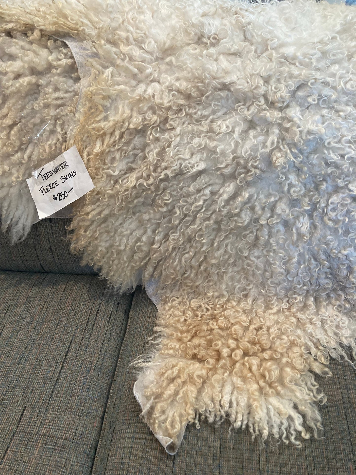 Teeswater Fleece Skins